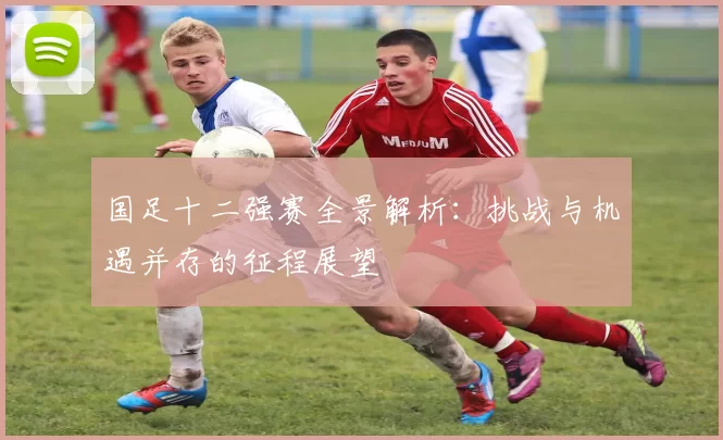 国足十二强赛全景解析：挑战与机遇并存的征程展望